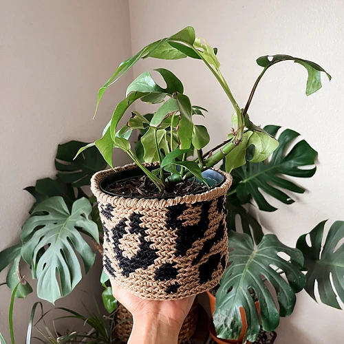 Luxe Leopard Basket Free Crochet Pattern